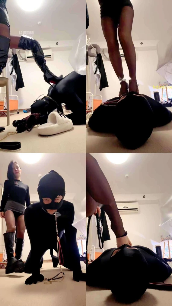 【广州苏苏】贱狗全副武装过来找妈妈调