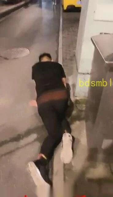 【莫妮卡卡dom】户外爬行找路人磕头围观超多