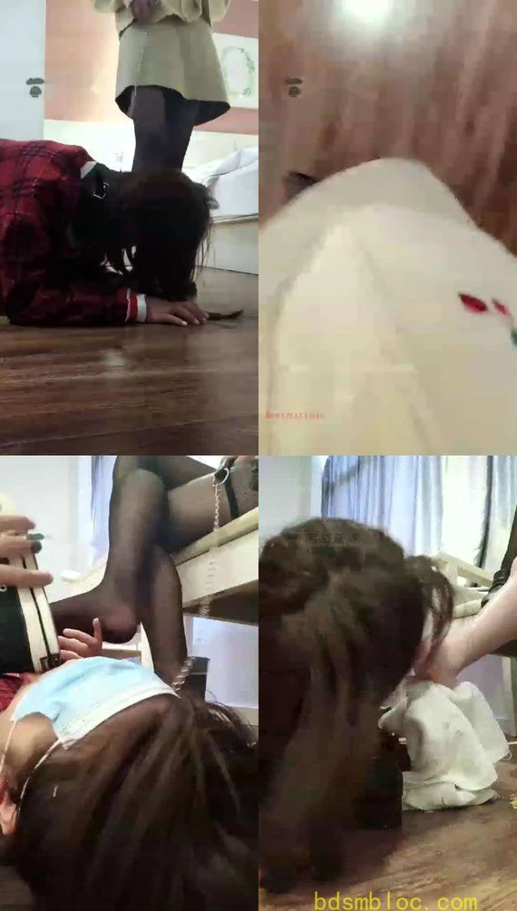 【哈宝s】母狗头上高贵的脚，被踩还要舔