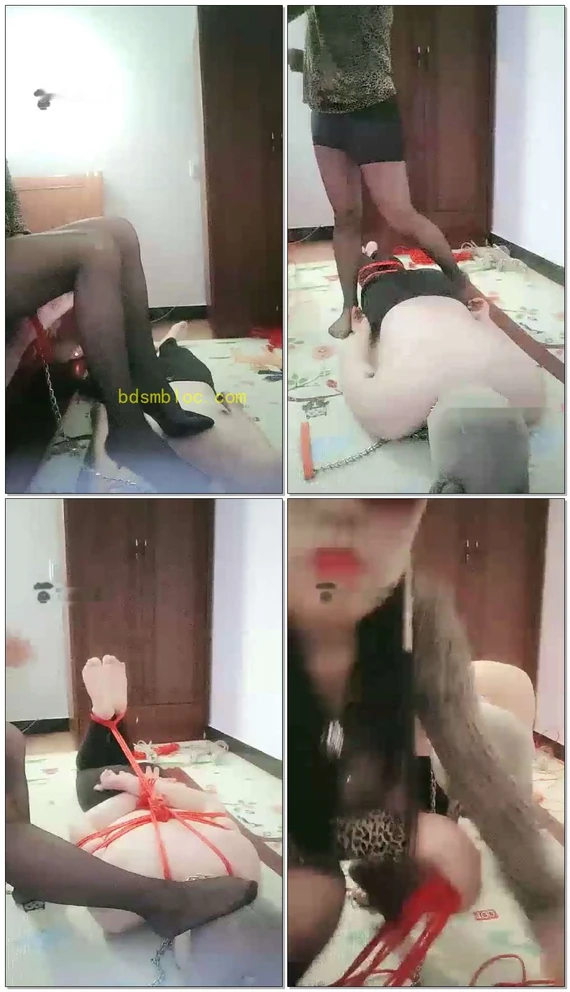 【红丽S】黑丝调狗，捆绑