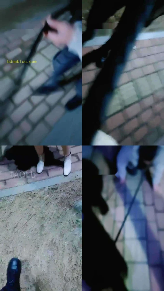 【魅影女神】饭后遛遛狗虐虐