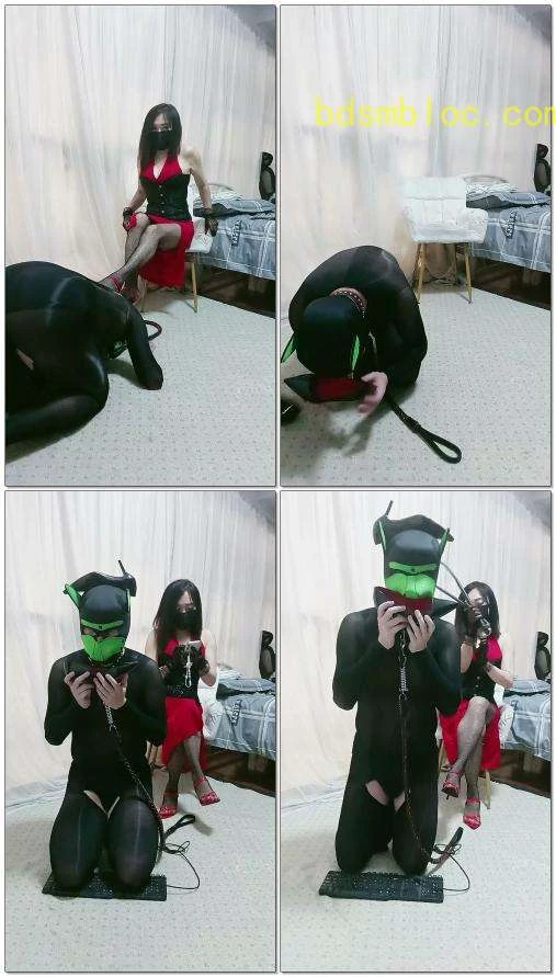 【南京冰炫女司】无脑羞辱苟奴