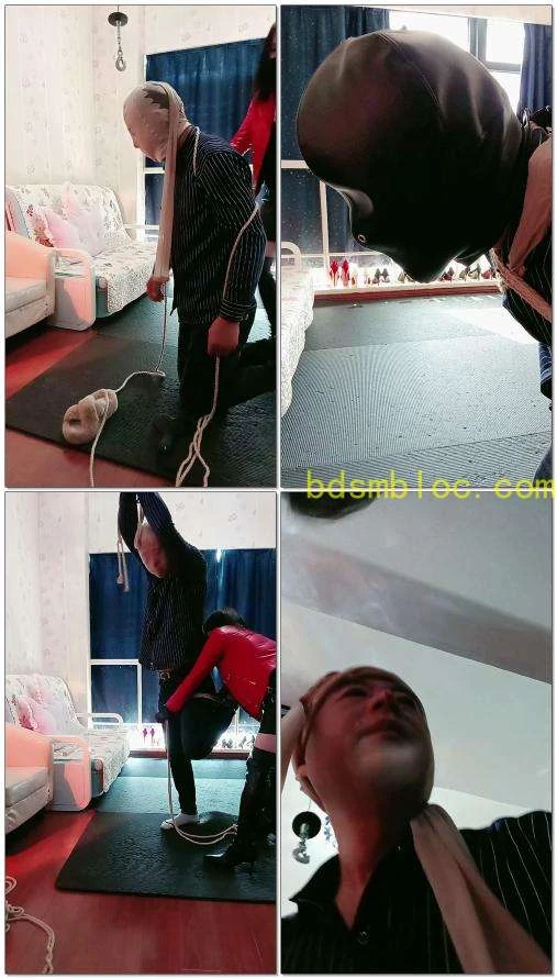 【南京冰炫女主】扒狗皮