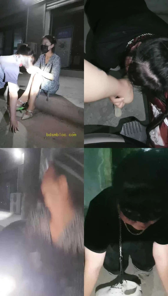【凌儿女神】小三母狗-深夜户外遛狗虐
