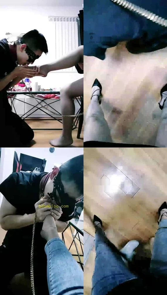 【亦菲s】调教欺负雏男苟小白