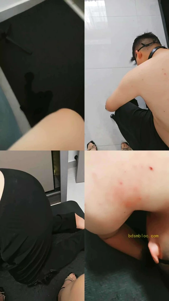 【啊雪老师】调教小肥狗