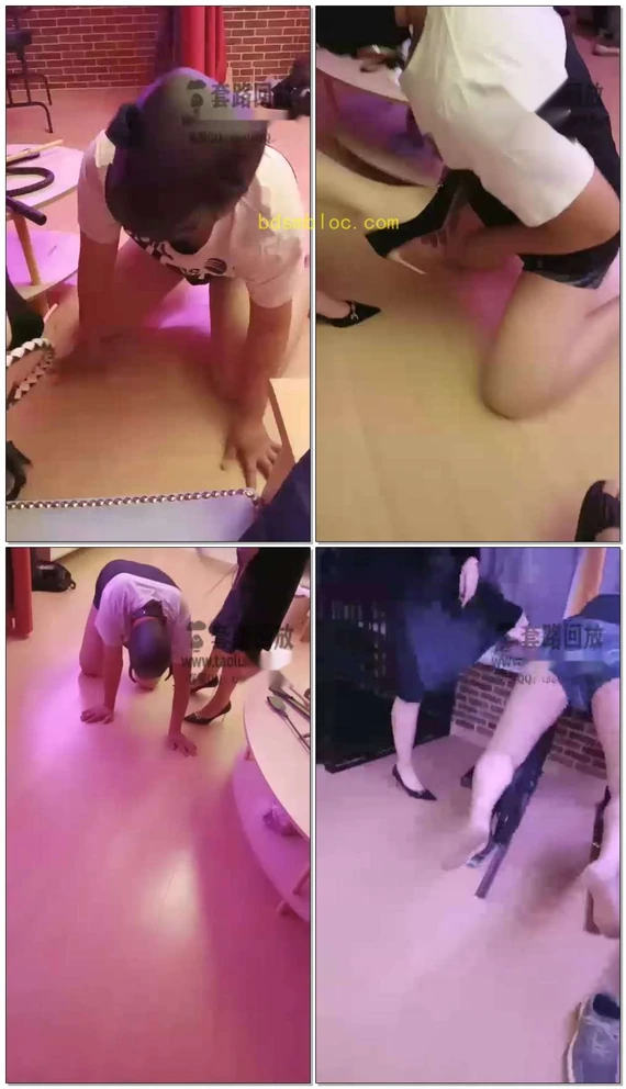 【一只大喵s】调教口嗨狗