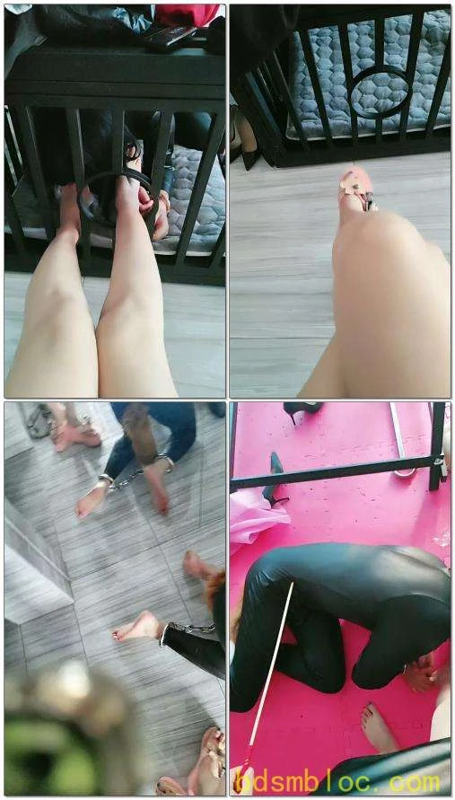 【广西格桑S】上课骚货舔脚
