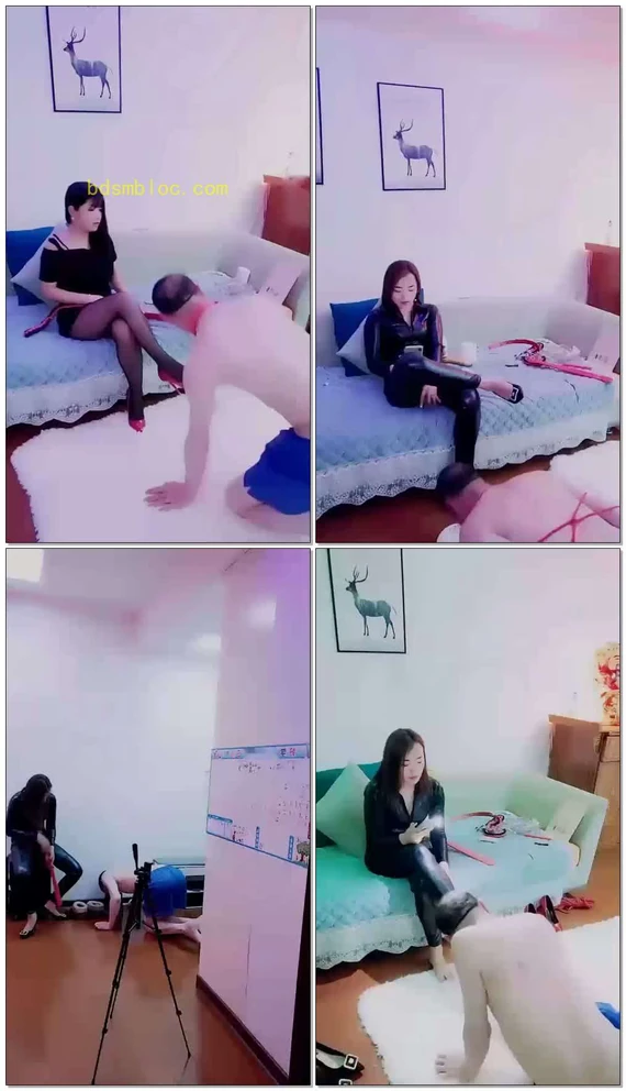 【闹闹】双S调教老狗